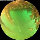 ./images/calvert/underwater/20260627/underwater20260627_173501M.jpg