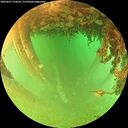 ./images/calvert/underwater/20260627/underwater20260627_174502M.jpg