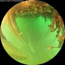 ./images/calvert/underwater/20260627/underwater20260627_175001M.jpg