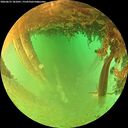 ./images/calvert/underwater/20260627/underwater20260627_181001M.jpg