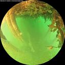 ./images/calvert/underwater/20260627/underwater20260627_182001M.jpg