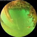 ./images/calvert/underwater/20260627/underwater20260627_182501M.jpg