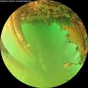 ./images/calvert/underwater/20260627/underwater20260627_183501M.jpg