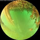 ./images/calvert/underwater/20260627/underwater20260627_184001M.jpg
