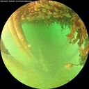 ./images/calvert/underwater/20260627/underwater20260627_184501M.jpg