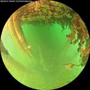 ./images/calvert/underwater/20260627/underwater20260627_185001M.jpg