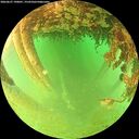 ./images/calvert/underwater/20260627/underwater20260627_190001M.jpg