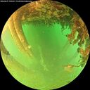 ./images/calvert/underwater/20260627/underwater20260627_190501M.jpg