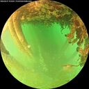 ./images/calvert/underwater/20260627/underwater20260627_191001M.jpg