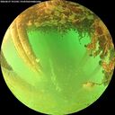 ./images/calvert/underwater/20260627/underwater20260627_191501M.jpg