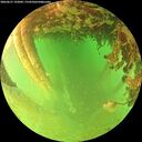 ./images/calvert/underwater/20260627/underwater20260627_192001M.jpg