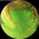 ./images/calvert/underwater/20260627/underwater20260627_192501M.jpg