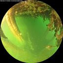 ./images/calvert/underwater/20260627/underwater20260627_193001M.jpg
