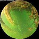 ./images/calvert/underwater/20260627/underwater20260627_194001M.jpg