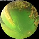 ./images/calvert/underwater/20260627/underwater20260627_194501M.jpg