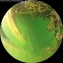 ./images/calvert/underwater/20260627/underwater20260627_200501M.jpg
