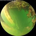 ./images/calvert/underwater/20260627/underwater20260627_201001M.jpg