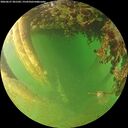 ./images/calvert/underwater/20260627/underwater20260627_201501M.jpg