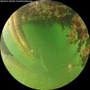 ./images/calvert/underwater/20260627/underwater20260627_202501M.jpg