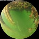 ./images/calvert/underwater/20260627/underwater20260627_203501M.jpg