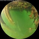 ./images/calvert/underwater/20260627/underwater20260627_204001M.jpg