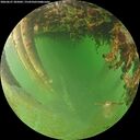 ./images/calvert/underwater/20260627/underwater20260627_205001M.jpg