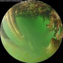 ./images/calvert/underwater/20260627/underwater20260627_205501M.jpg
