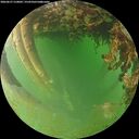 ./images/calvert/underwater/20260627/underwater20260627_210001M.jpg