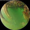 ./images/calvert/underwater/20260627/underwater20260627_210501M.jpg