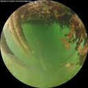 ./images/calvert/underwater/20260627/underwater20260627_212002M.jpg