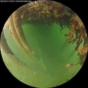 ./images/calvert/underwater/20260627/underwater20260627_212501M.jpg