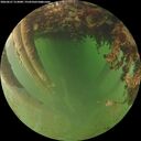 ./images/calvert/underwater/20260627/underwater20260627_213001M.jpg