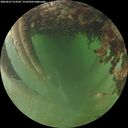 ./images/calvert/underwater/20260627/underwater20260627_213501M.jpg