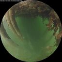 ./images/calvert/underwater/20260627/underwater20260627_214002M.jpg