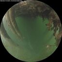 ./images/calvert/underwater/20260627/underwater20260627_215001M.jpg