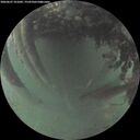 ./images/calvert/underwater/20260627/underwater20260627_221001M.jpg