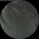./images/calvert/underwater/20260627/underwater20260627_222001M.jpg