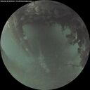 ./images/calvert/underwater/20260628/underwater20260628_050501M.jpg
