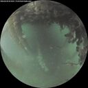 ./images/calvert/underwater/20260628/underwater20260628_051001M.jpg
