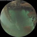 ./images/calvert/underwater/20260628/underwater20260628_051501M.jpg