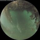 ./images/calvert/underwater/20260628/underwater20260628_052001M.jpg