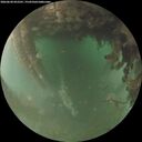 ./images/calvert/underwater/20260628/underwater20260628_052501M.jpg
