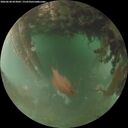 ./images/calvert/underwater/20260628/underwater20260628_053001M.jpg