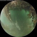 ./images/calvert/underwater/20260628/underwater20260628_054001M.jpg