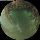 ./images/calvert/underwater/20260628/underwater20260628_054501M.jpg