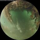 ./images/calvert/underwater/20260628/underwater20260628_055001M.jpg