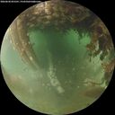 ./images/calvert/underwater/20260628/underwater20260628_055501M.jpg