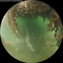 ./images/calvert/underwater/20260628/underwater20260628_061002M.jpg