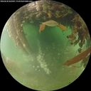 ./images/calvert/underwater/20260628/underwater20260628_062001M.jpg