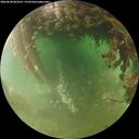 ./images/calvert/underwater/20260628/underwater20260628_062501M.jpg